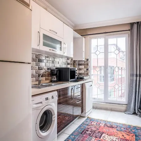 Fully Furnished Cozy And Private Flat In Avcilar 公寓 伊斯坦布尔