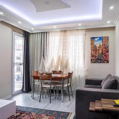 Fully Furnished Cozy And Private Flat In Avcilar 公寓 伊斯坦布尔